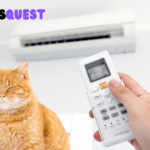 Cat under AC