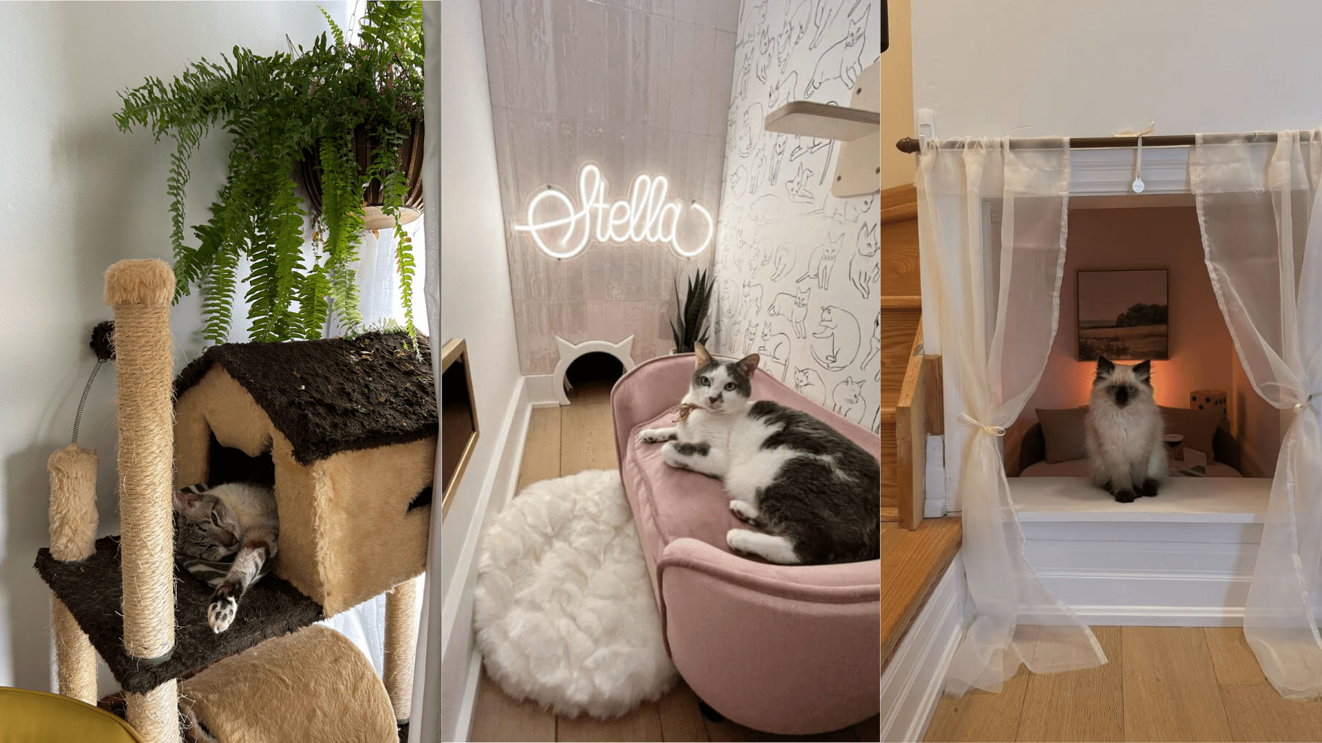 Small Cat Room Ideas: Squeeze Every Inch Available!