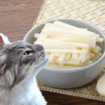 Can Cats Eat Jicama? Here’s What You Need To Know