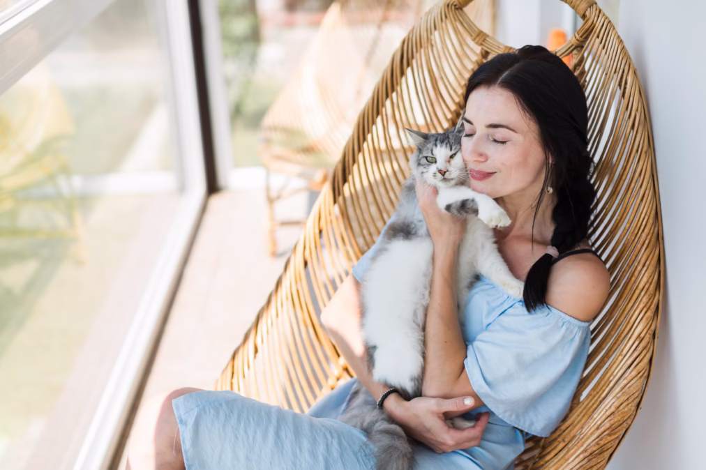 International Cat Day: When Is It & How To Celebrate