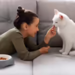 girl feeding a cat in the sofa