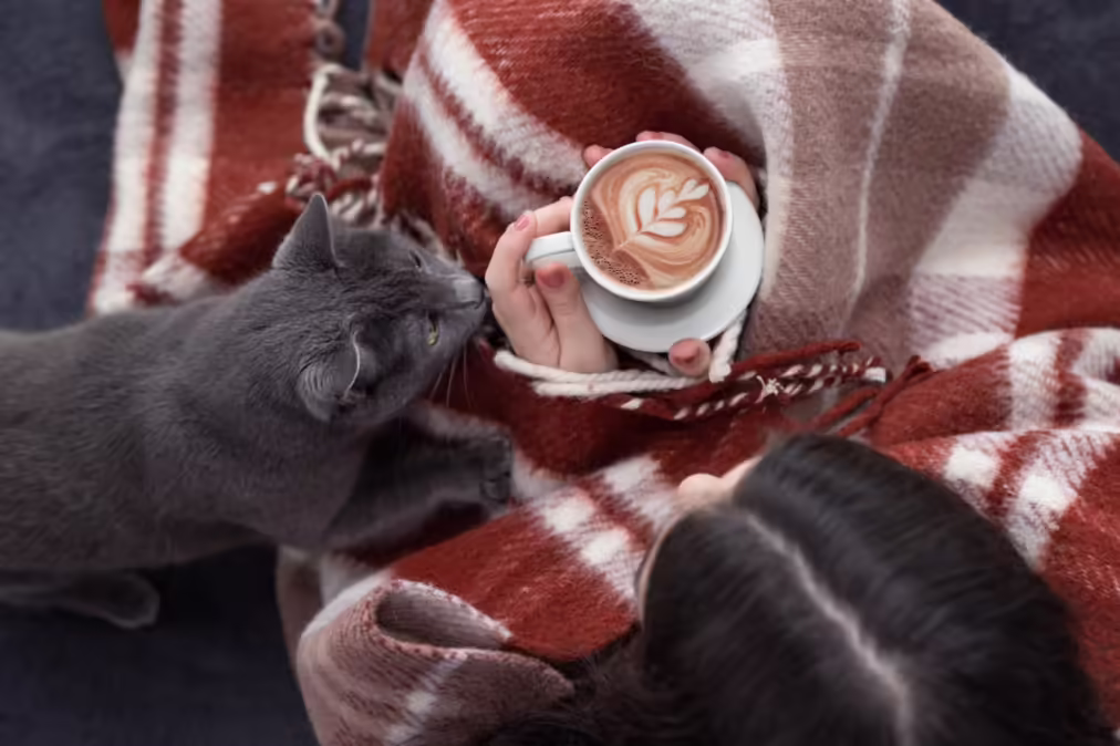 grey cat next to a woman drinking coffee