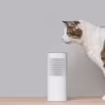 cat smelling air purifier
