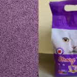 Tofu Cat Litter – What Makes It Stand Out? (Review)