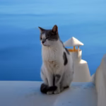 100 Meaningful Greek Cat Names