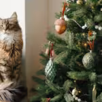 How to Cat-Proof Your Christmas Tree