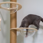 12 Unique Cat Tree Ideas