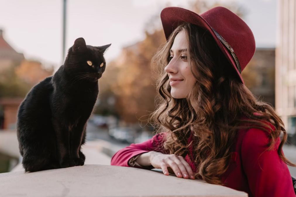 98 Unique Black Cat Name Ideas