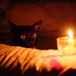 75 Meaningful Elemental Cat Names