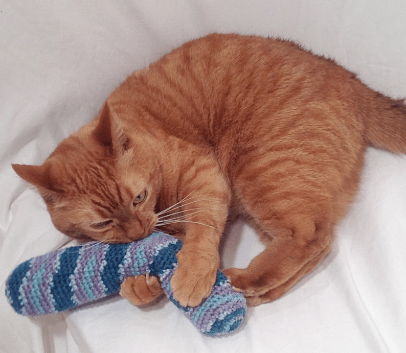 An orange cat holding a kicker toy