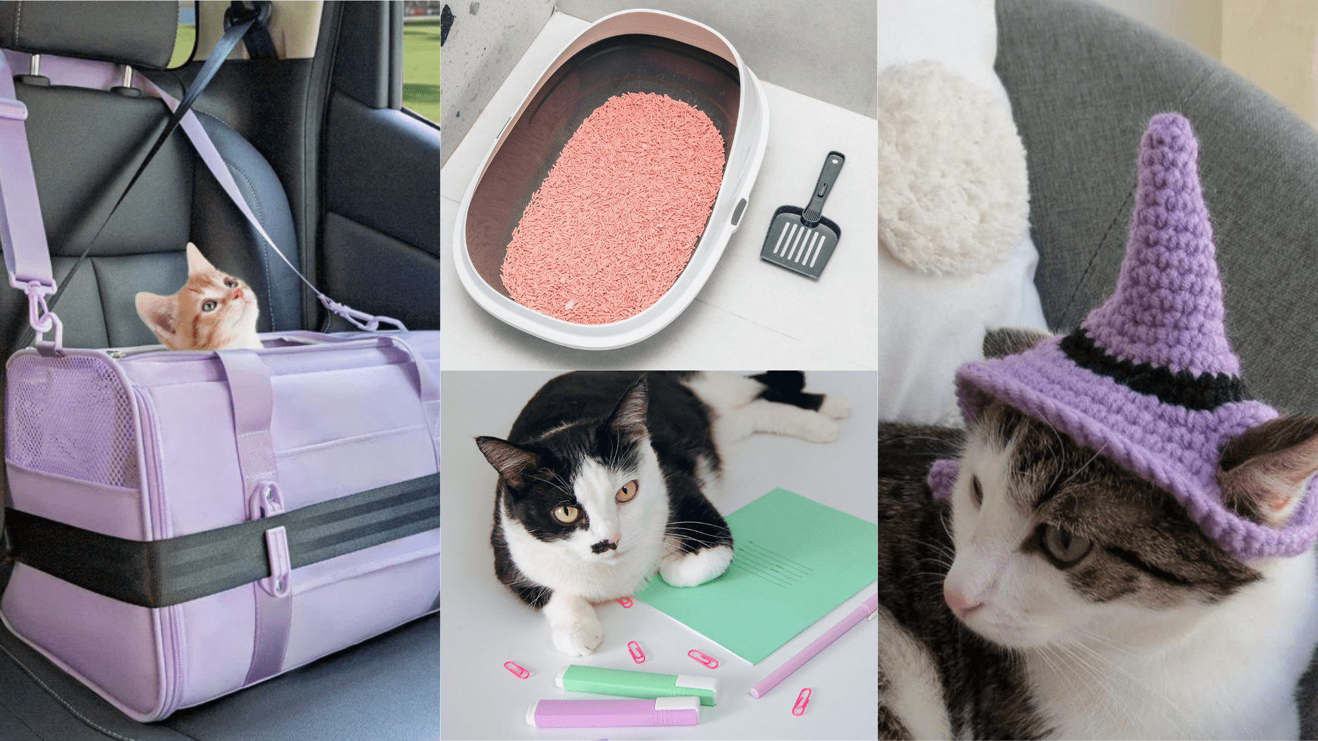 Pink & Purple Cat Supplies: 17 Aesthetic Essentials for Stylish Cat Parents